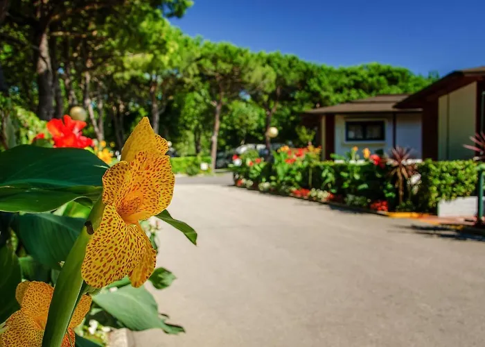 Camping Village Miramare